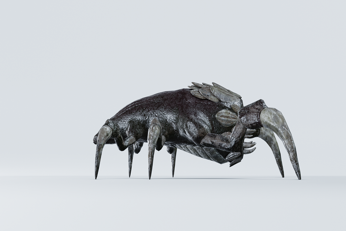 Monster Bug, a Characters & Person 3D Model by NojskaAksjon (Photo 3 of 22)