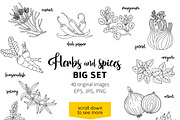 40 spices and herbs, a Food Illustration by Primula`s shop (Thumbnail 2 of 2)