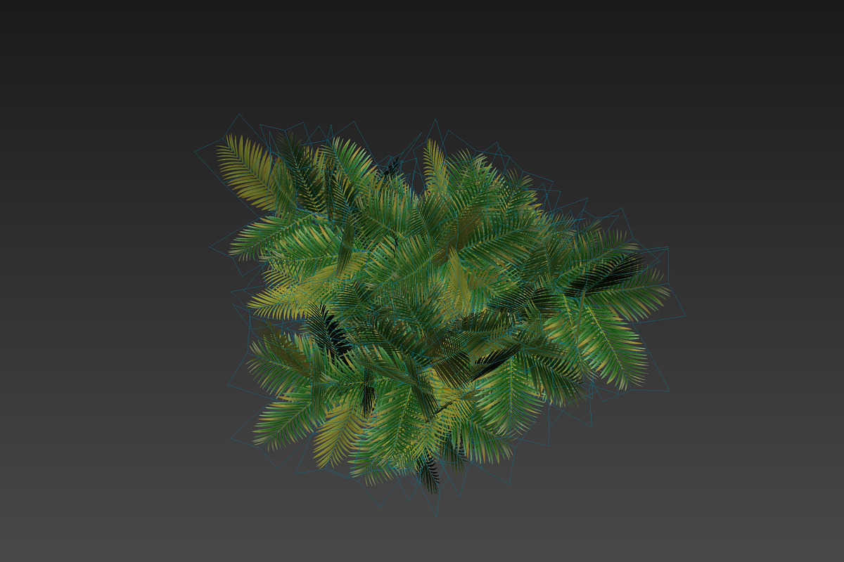 Pinanga coronata, an Environmental 3D Model by AndrewWhite (Photo 4 of 25)
