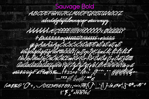 Sauvage - Monoline Script Family