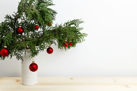 Vase with thuja branches and hanging Christmas ornaments creating a festive dis, a Photo by matucha