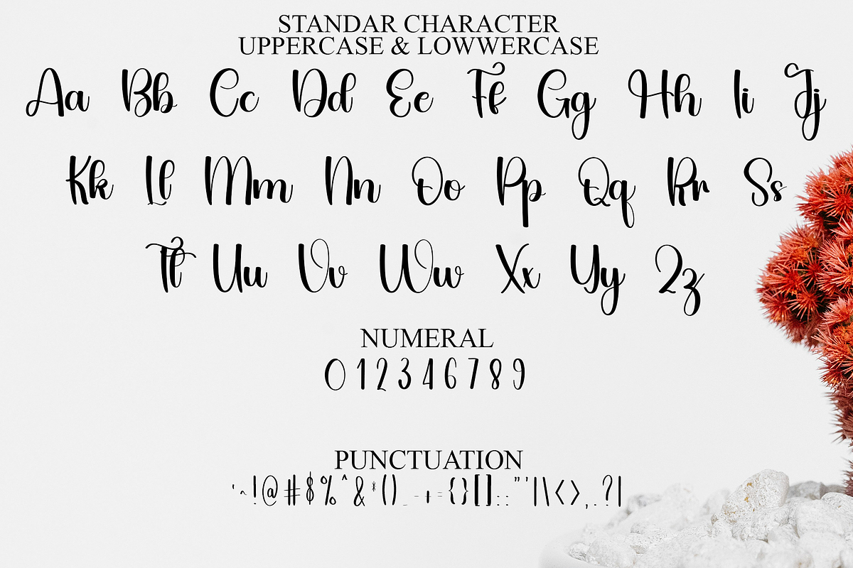 Beauty Handwriting, a Handwritten Font by FreshTypeINK (Photo 6 of 8)