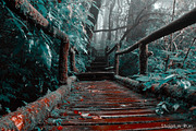 454 Infrared Fantasy Pro LUTs, a Preset Add-On by ShutterPro (Thumbnail 14 of 48)