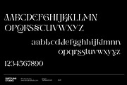 Wagon Display Serif+Italic, a Serif Font by Dirtyline Studio (Thumbnail 6 of 20)