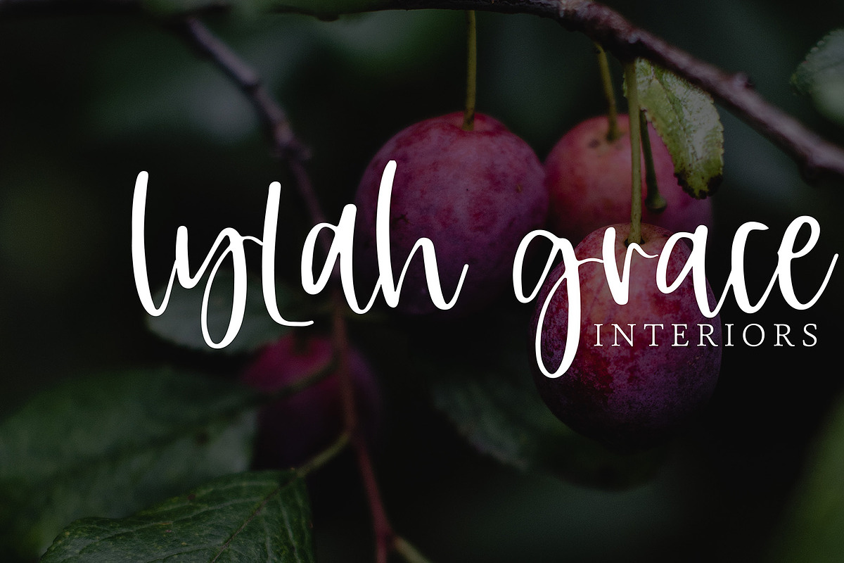 Candied Plum preview 4