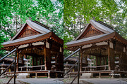 Kodak Ektar 100 III, a Preset Add-On by colorituals (Thumbnail 8 of 8)