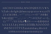 Raena Disco, a Serif Font by Craft Supply Co. (Thumbnail 8 of 8)