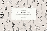 Botanical Illustration Bundle, an Illustration by Studio Edyth (Thumbnail 1 of 8)