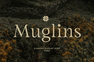 ED Muglins - Serif Display