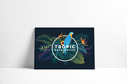 Tropical backgrounds, a Texture Illustration by Creative Graphics (Thumbnail 11 of 11)