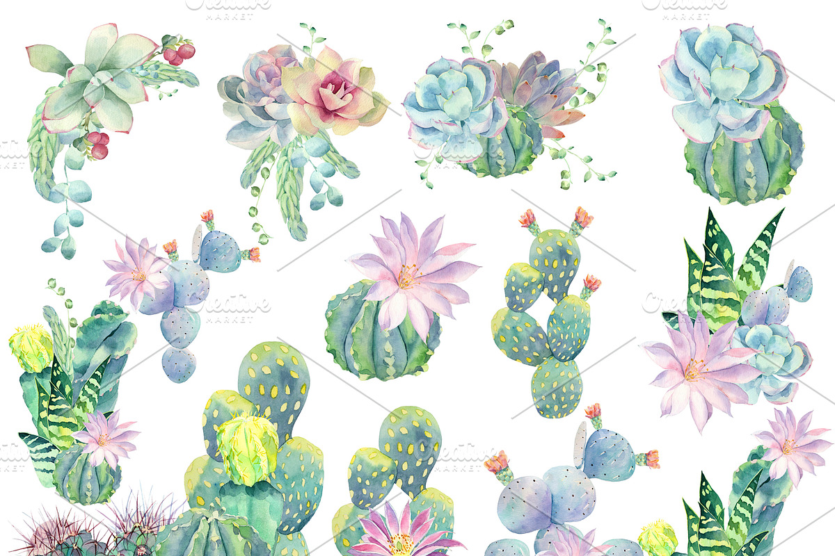 Watercolor cacti and succulents, an Illustration by Watercolor arts (Photo 3 of 6)