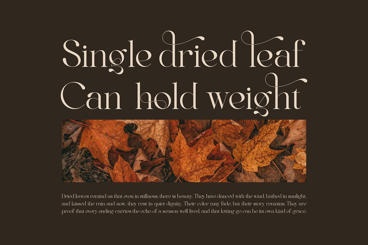 Belyga || Modern Classy Serif Font, a Serif Font by Ermedia Studio (Photo 4 of 10)
