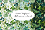 Tropical leaves old pharmacy bottles, an Illustration by marie dricot (Thumbnail 12 of 12)
