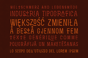 Zenzero Grotesk