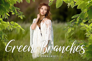 Tree Branch Overlay