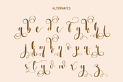 Milkshake | Script font, a Script Font by Scratchones (Thumbnail 7 of 8)