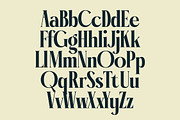 Garaleo Modern Luxury Serif, a Script Font by timelesstype.co (Thumbnail 13 of 20)