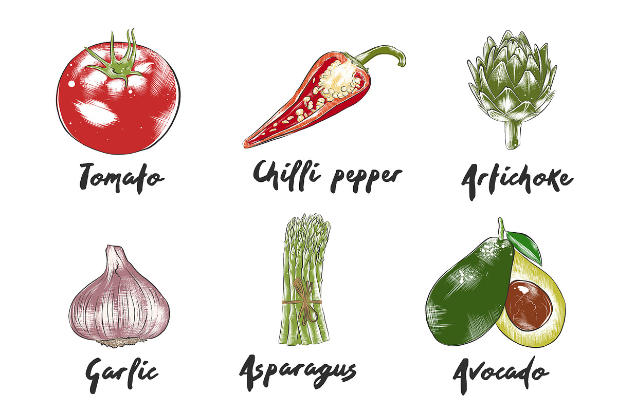 Set of 42 organic food sketches, a Food Illustration by Akimo Mia (Photo 2 of 8)