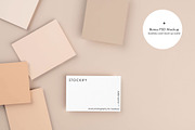 Sustainability ECO Photo Bundle, a Health & Medical Photo by Stockify (Thumbnail 5 of 5)