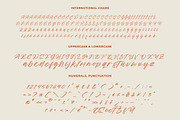Cocktail Bigoter Modern Script Font, a Script Font by stylishtype.co (Thumbnail 11 of 15)
