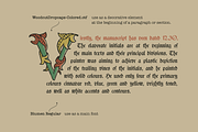 Woodcut Dropcaps, a Blackletter Font by kaer_shop (Thumbnail 4 of 12)