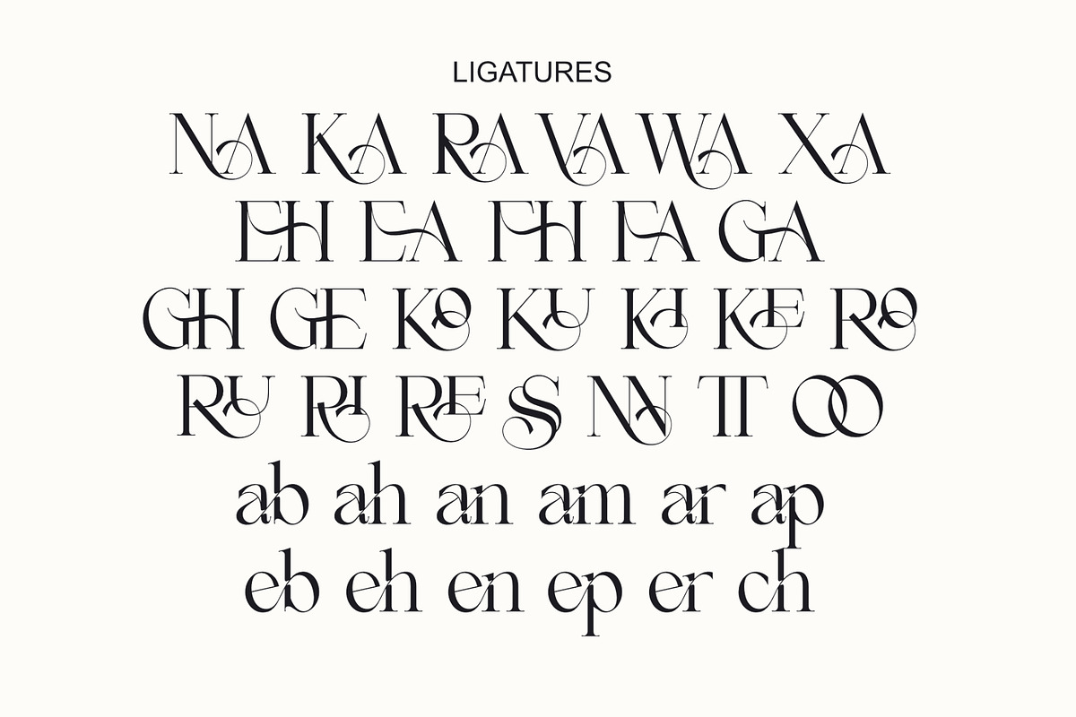 Rakige - Elegant Corporate Ligature, a Serif Font by Sealoung (Photo 9 of 10)