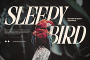 Astella Luxury - Branding Logo Font, a Serif Font by Nirmana Visual (Thumbnail 13 of 16)