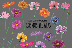 Cosmos Flowers Watercolor Clipart