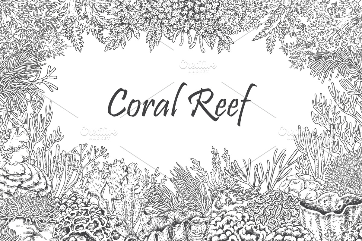 Coral Reef Monochrome, a Decorative Illustration by Valentyna Smordova (Photo 1 of 5)