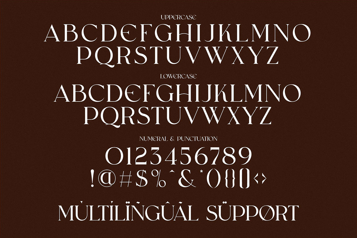 CHOASE Modern Ligature Serif, a Serif Font by Alfinart (Photo 8 of 9)