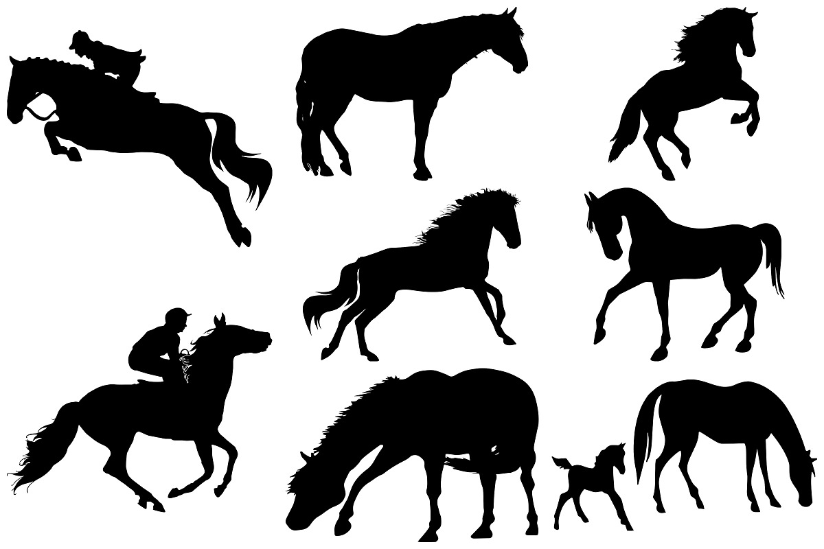 Horse Silhouettes AI EPS PNG, an Illustration by FrankiesDaughtersDesign (Photo 4 of 7)