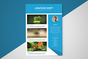 CV/Resume Template 3 Pages