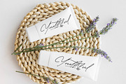 Midnight Classic Elegant Script Font, a Script Font by stylishtype.co (Thumbnail 8 of 16)