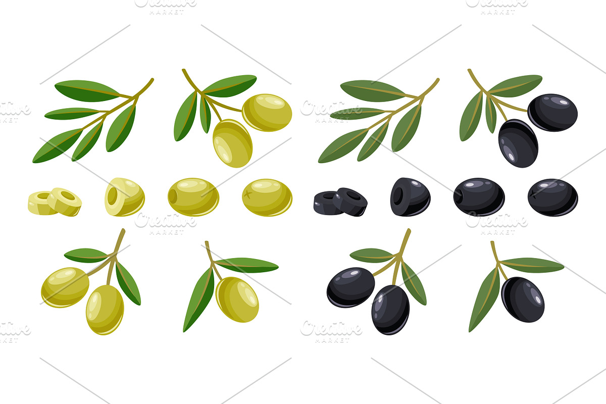 Green & Black Olives Vector Set, a Food Illustration by Gomolach (Photo 2 of 3)