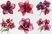 Watercolor Burgundy Orchids Clipart, a Seasonal Illustration by Rose Art (Thumbnail 3 of 6)
