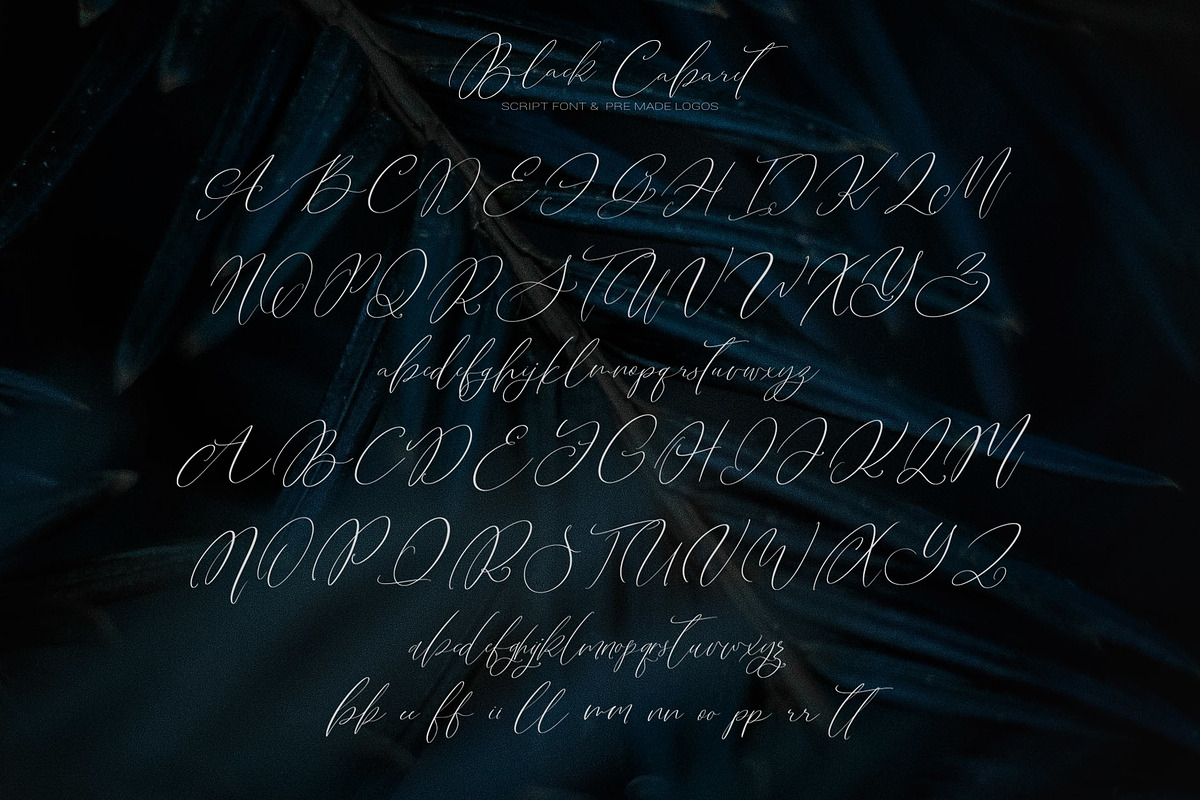 Black Cabaret Script Font & Logos, a Script Font by CallMeStasia (Photo 17 of 18)