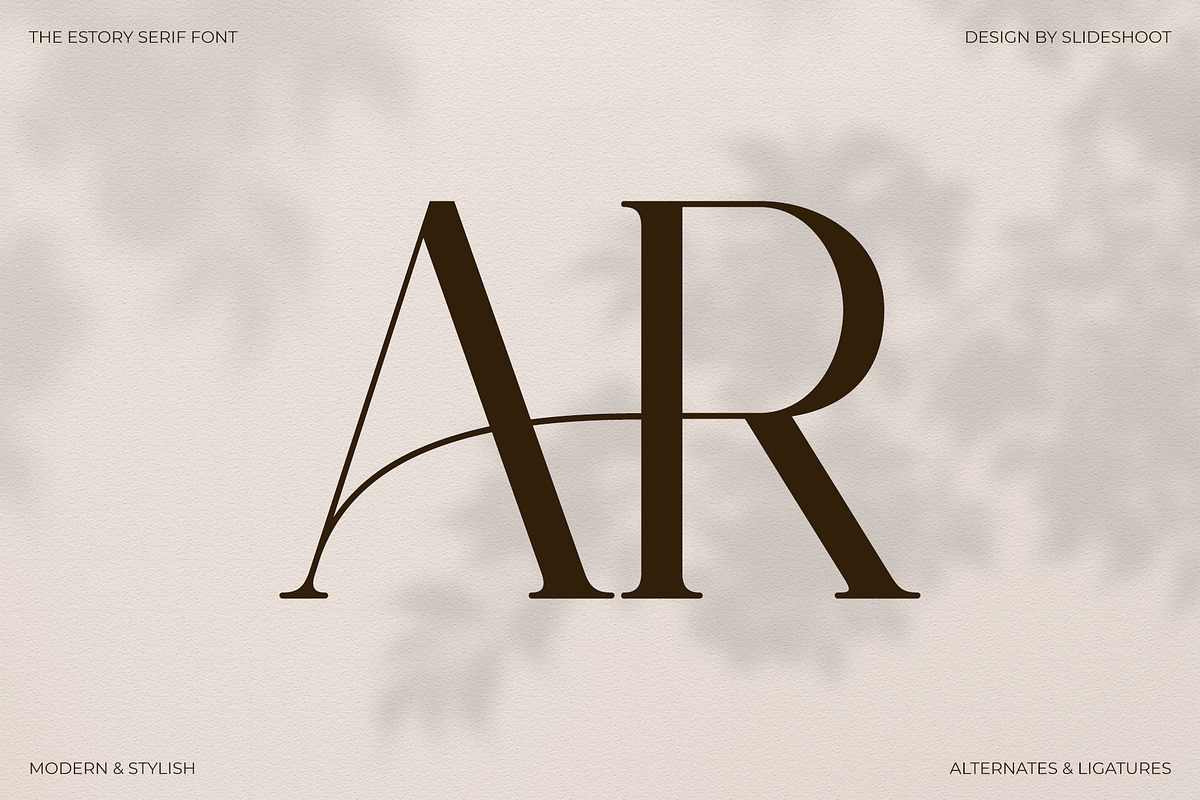The Estory Modern Serif Font, a Serif Font by Idea Studio (Photo 9 of 12)