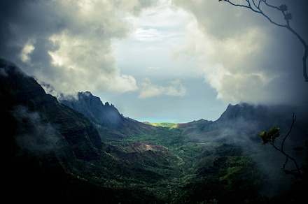 Into the wild featuring wilderness, hawaii, and tropics