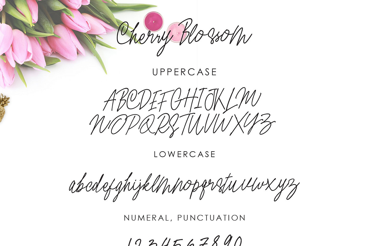 Cherry Blossom, a Script Font by Megi Satyo Widodo (Photo 10 of 10)