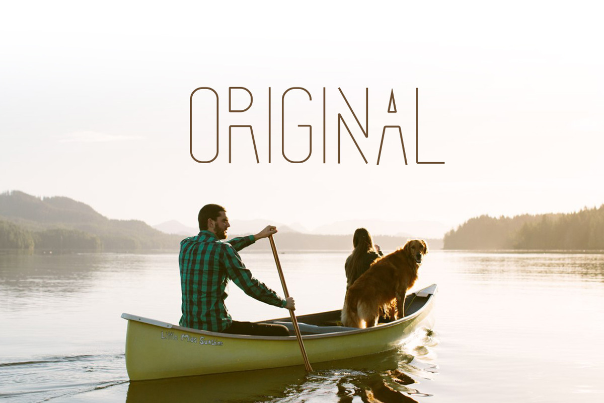 Forest Line Font Condensed preview 3