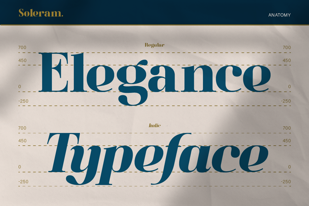 Soleram - 3 Style with 7 Weight Font, a Serif Font by Burntilldead (Photo 6 of 13)