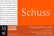 SchussSerifProLight No.31 (1 Font), a Serif Font by typic schuss (Thumbnail 1 of 6)