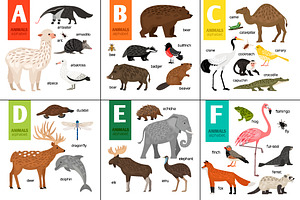 Alphabet with Animals