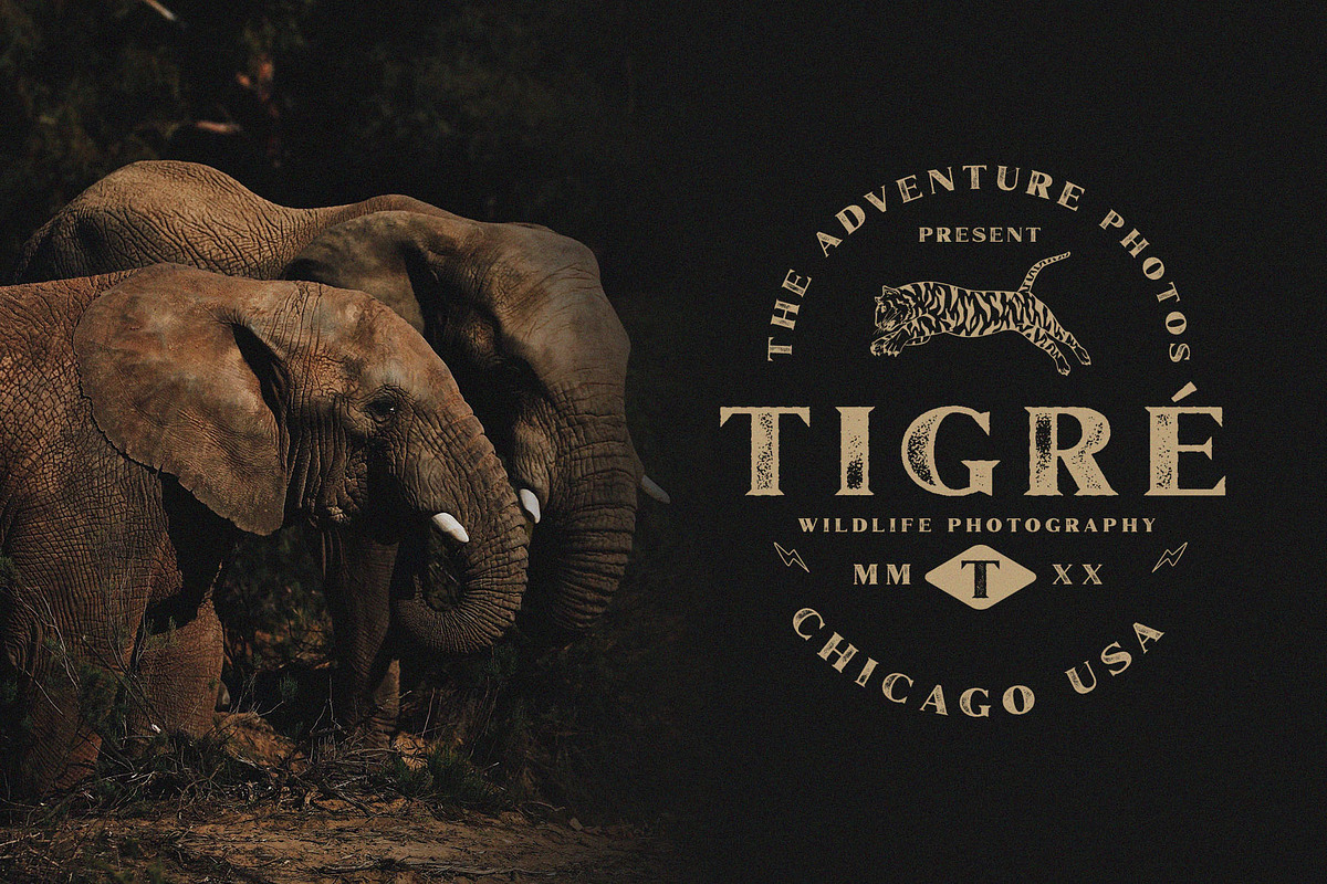 Marques Vintage Font Family + Extras preview 6