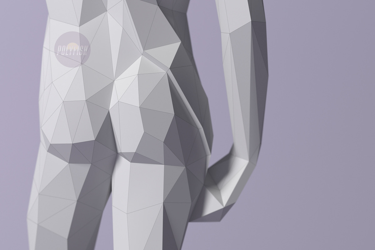 DIY David (Michelangelo) 3D template, a Templates & Theme by PolyFish (Photo 5 of 6)