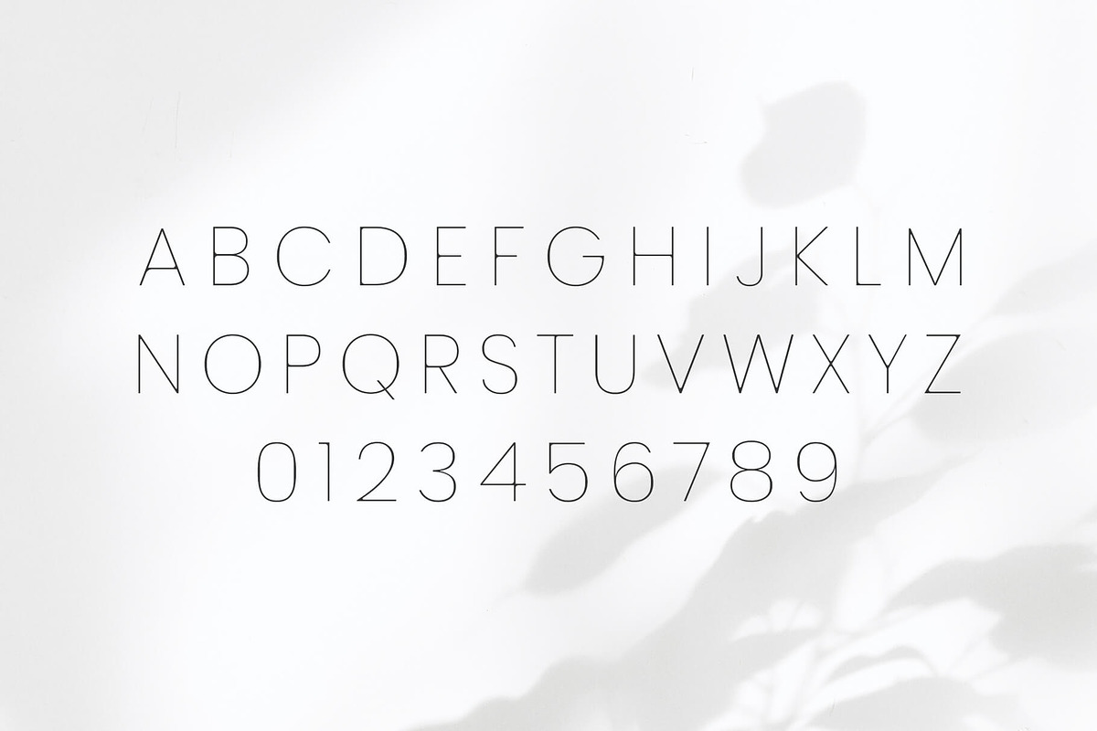 Desiras Font Family - Sans Serif, a Sans Serif Font by RC graphics (Photo 2 of 8)