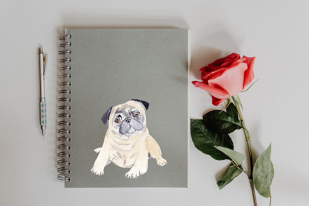 Watercolor Pug Dog Illustration, an Illustration by Foxery Digital (Photo 4 of 5)