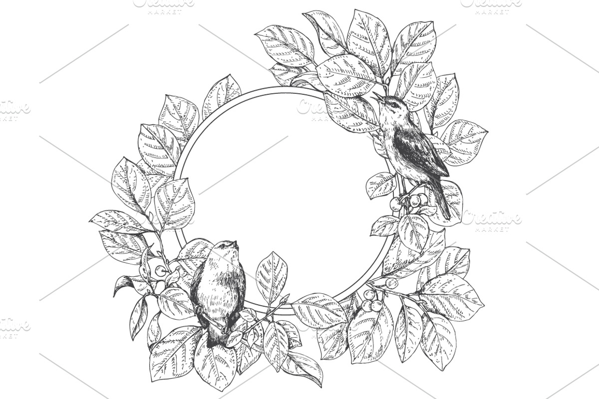 Birds on Branches Sketch, a Decorative Illustration by Valentyna Smordova (Photo 4 of 9)