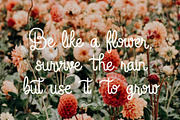 Blooming Time Font, a Script Font by Oui Studio (Thumbnail 12 of 12)