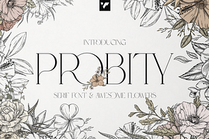 Probity - Creative Serif Font More